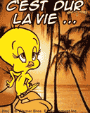 *.*.*.*.*.*.*.*.*Dur,Dur, Dur*.*.*.*.*.*.*.*.*.*.